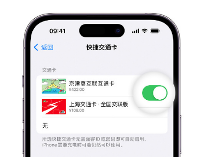 昆明apple维修点分享iPhone上更换Apple Pay快捷交通卡手绘卡面 