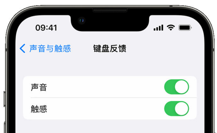 昆明苹果手机维修分享iPhone 14触感键盘使用方法 