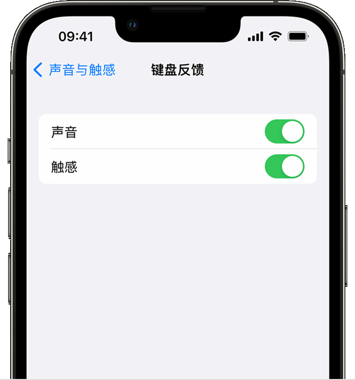 昆明苹果14维修店分享如何在 iPhone 14 机型中使用触感键盘 