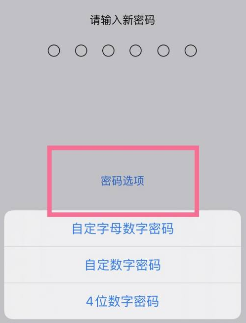 昆明苹果14维修分享iPhone 14plus设置密码的方法 