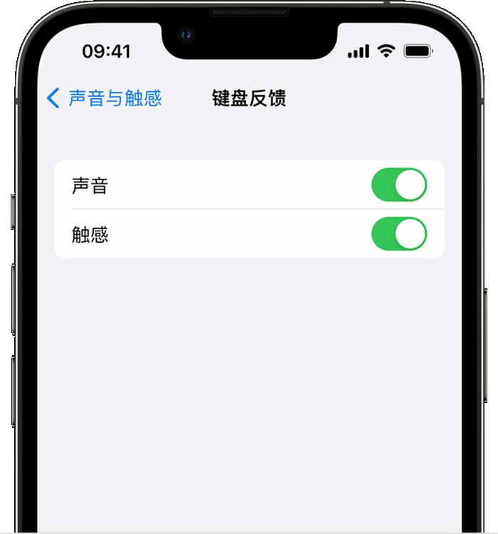 昆明苹果14维修分享iPhone 14 系列机型如何开启键盘声音或触感反馈 