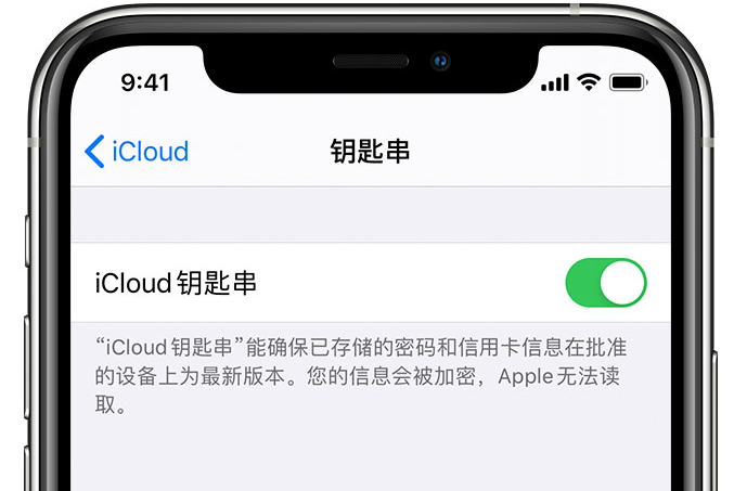 昆明苹果手机维修分享在 iPhone 上开启 iCloud 钥匙串之后会储存哪些信息 