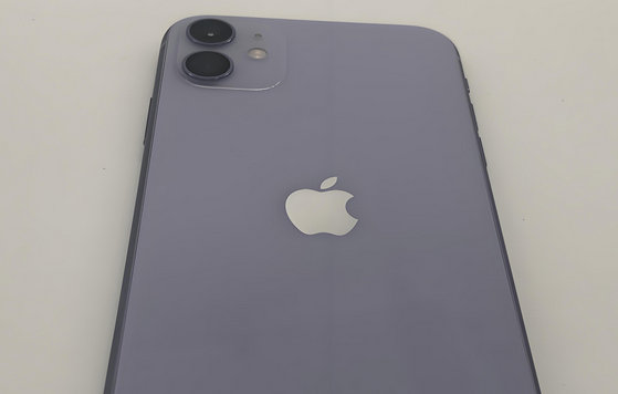 昆明苹果11系统维修分享iPhone11手机系统崩溃无法开机如何解决